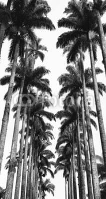 tableau_20150701-1449_F7270